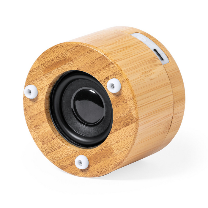 Multifunction lamp/speaker/charger